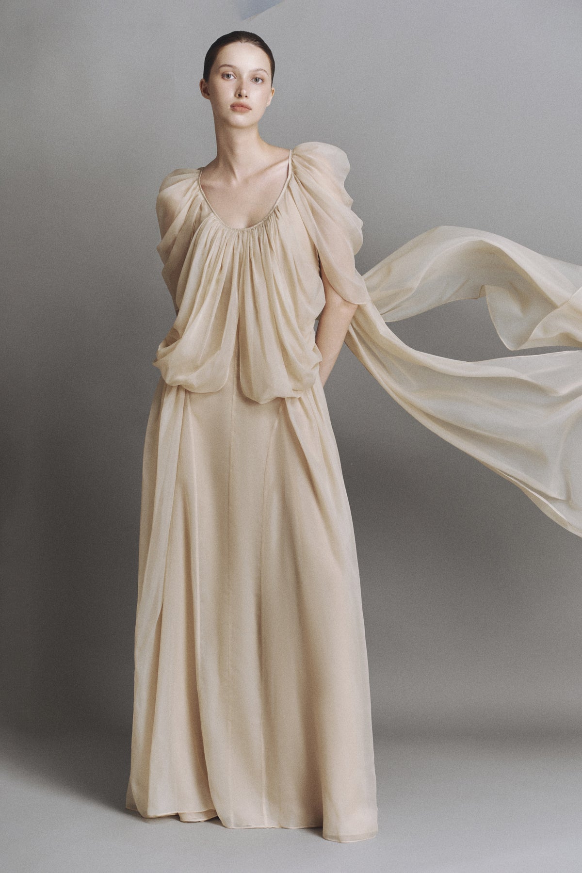 Aerial Butterfly Sleeve Maxi Dress