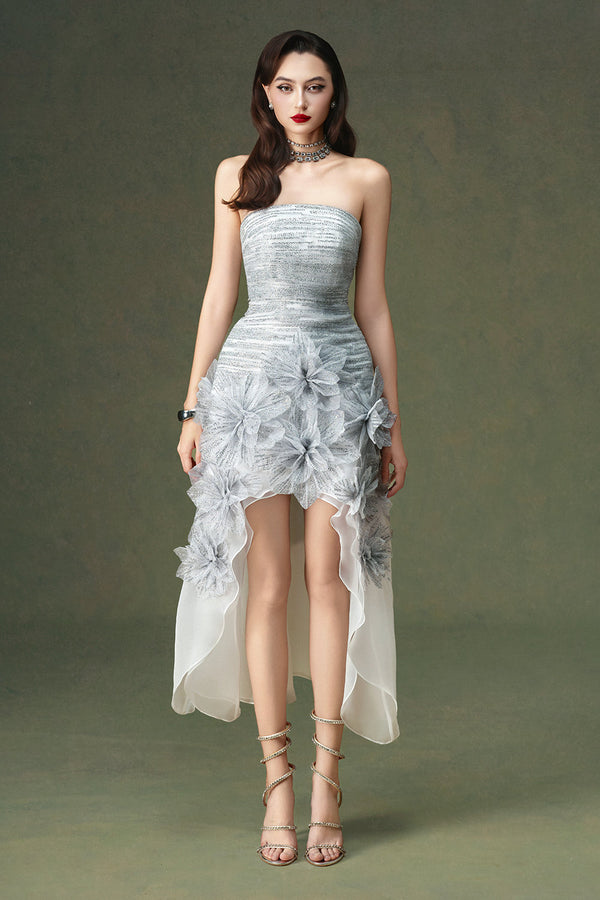 Dania Asymmetric Applique Mini Dress - MEAN BLVD