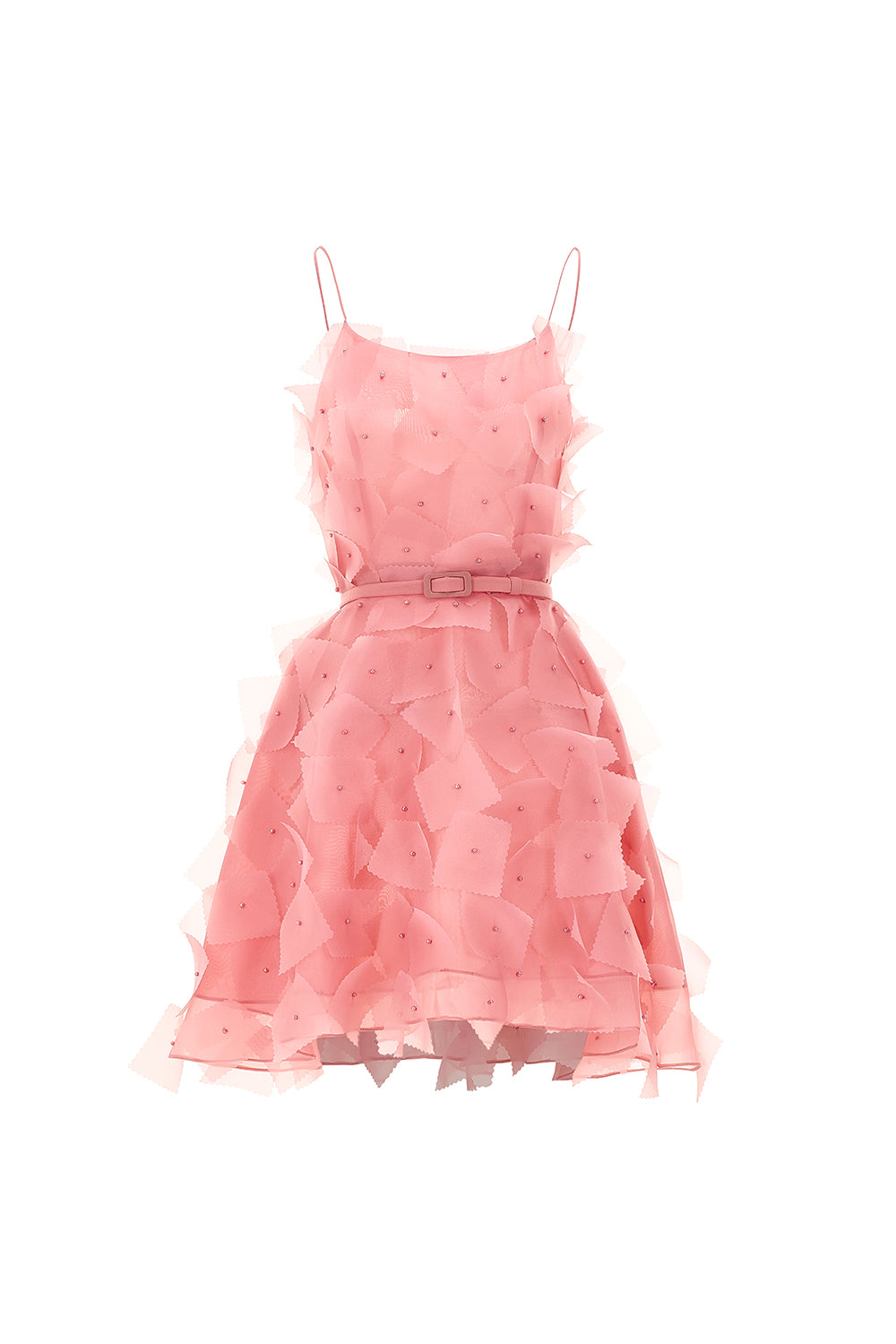 Ellise A-line Scoop Neck Organza Mini Dress