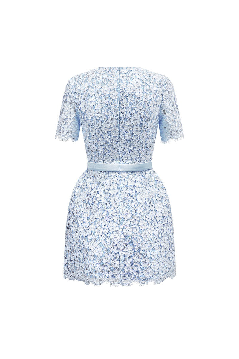 gianna lace dress Women's Gianna Regular Sleeve Lace Mini Dress XS/S/M/L/XL/XXL/Customize Sky Blue/Ivory MEAN BLVD Whisper Pink / XL