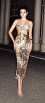 Nightscape Sequin Cut-Out Midi Dress