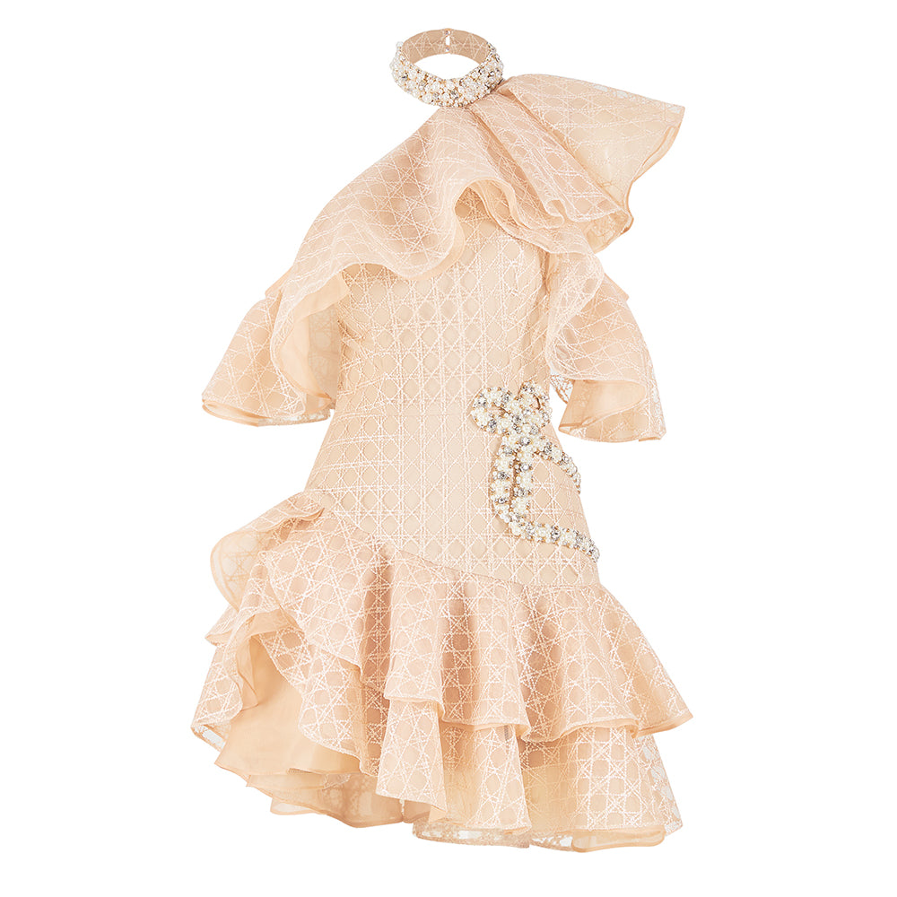 Zinnelle Asymmetric Ruffle Layer Organza Mini Dress