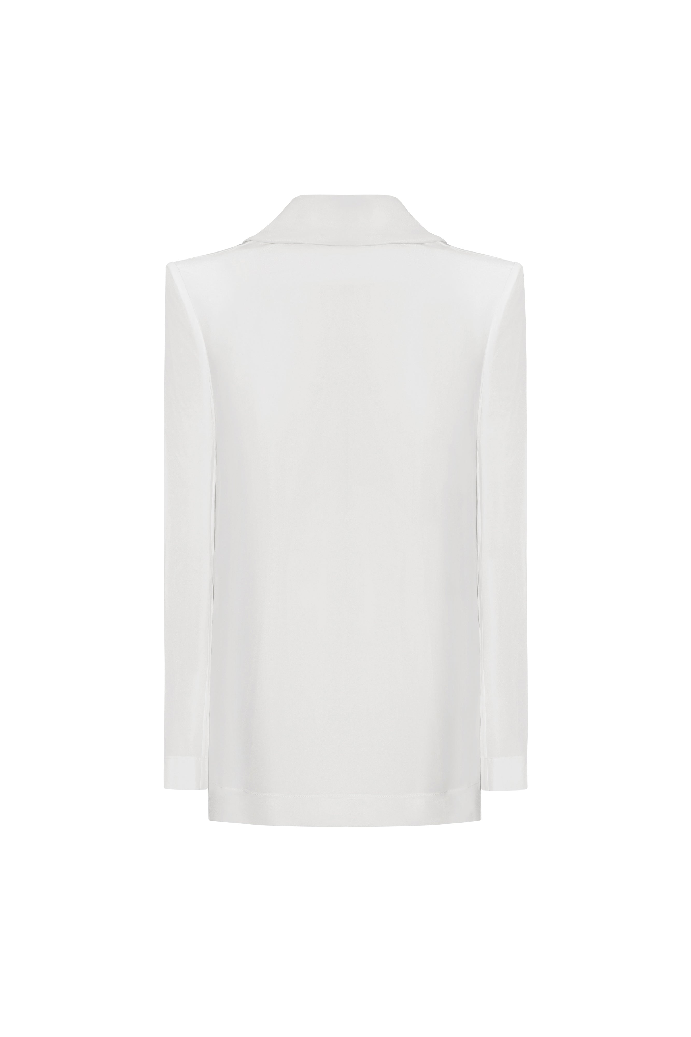 Eldora Straight High Neck Silk Top