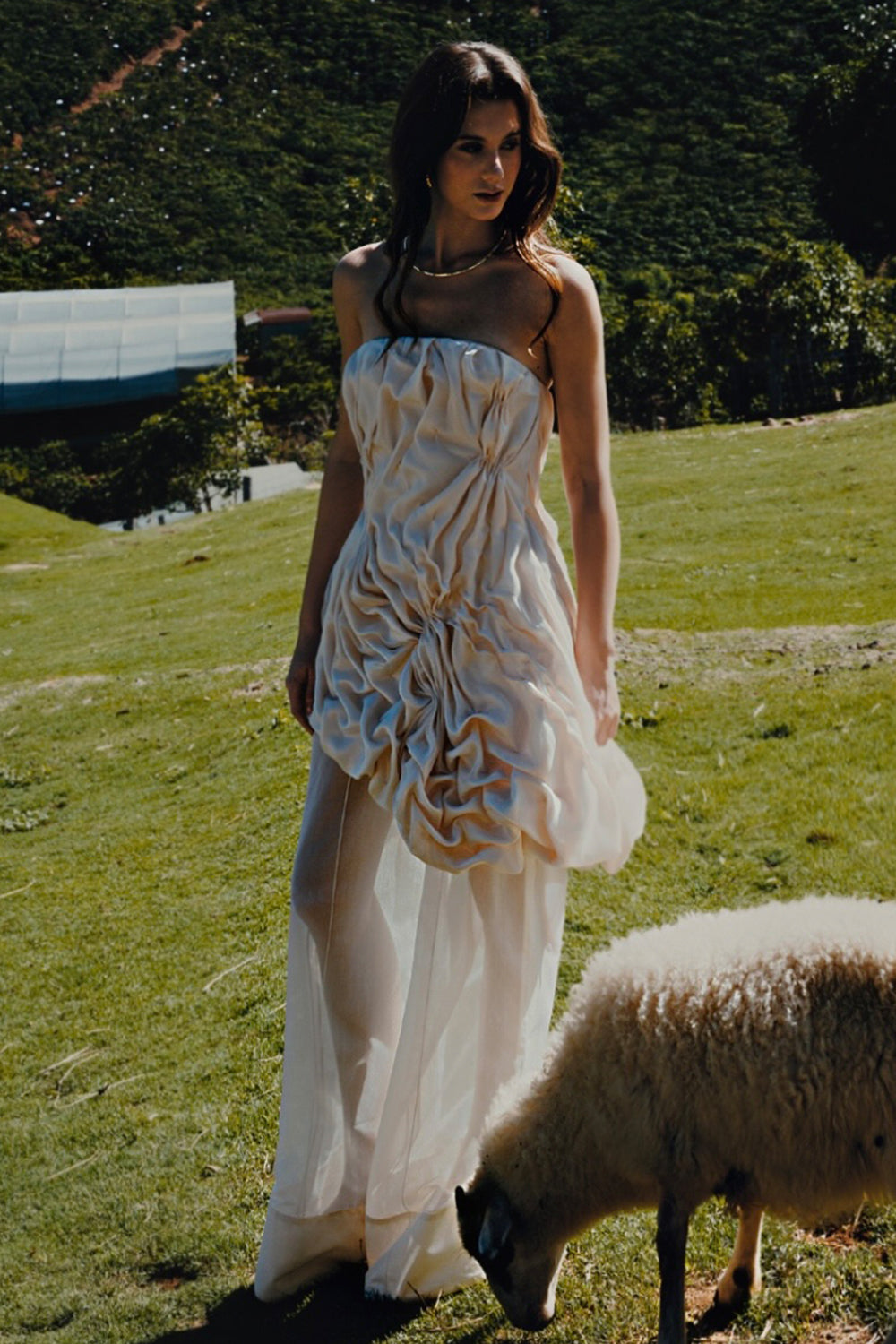 Hai Duong Asymmetric Straight Across Neck Silk Organza Top