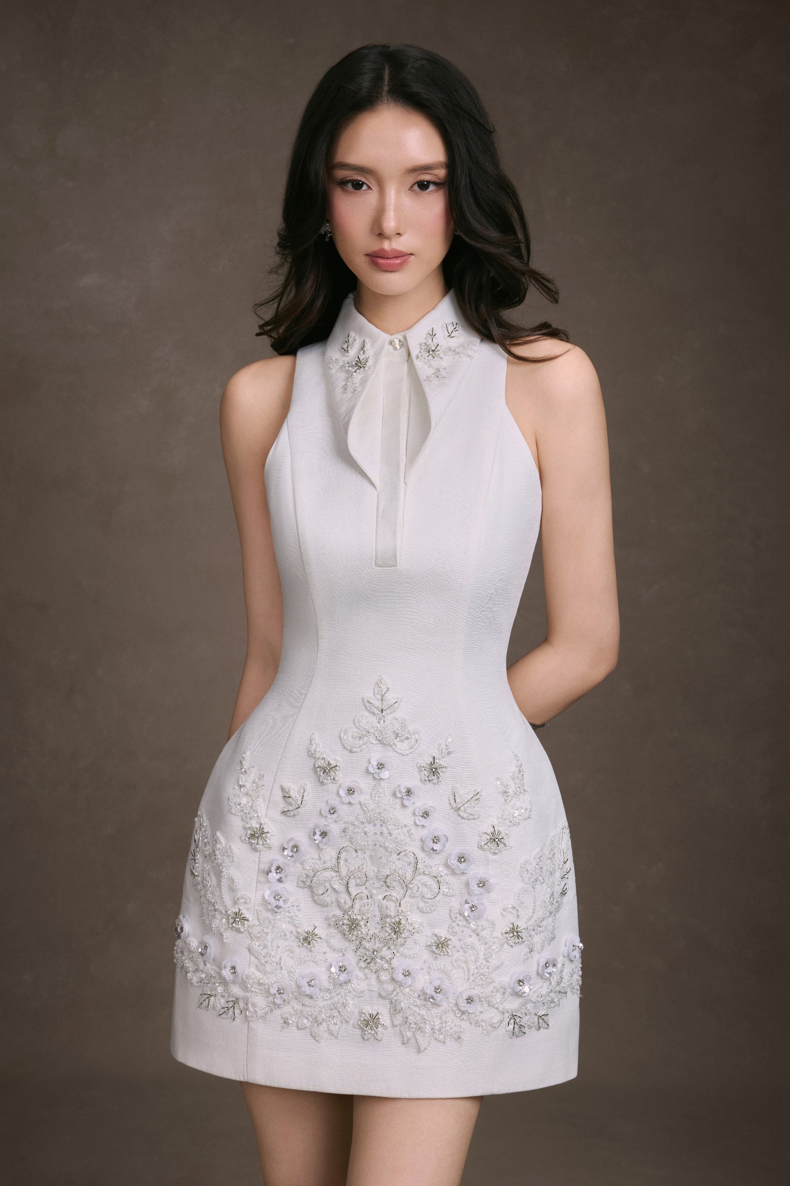 Adelisa Embroidery Mini Dress