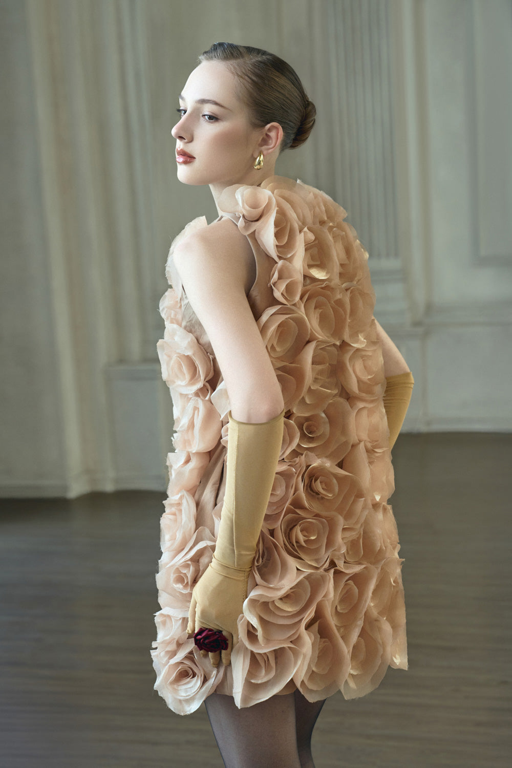 Louisa Trapezoid Flower Applique Organza Mini Dress Champagne / L