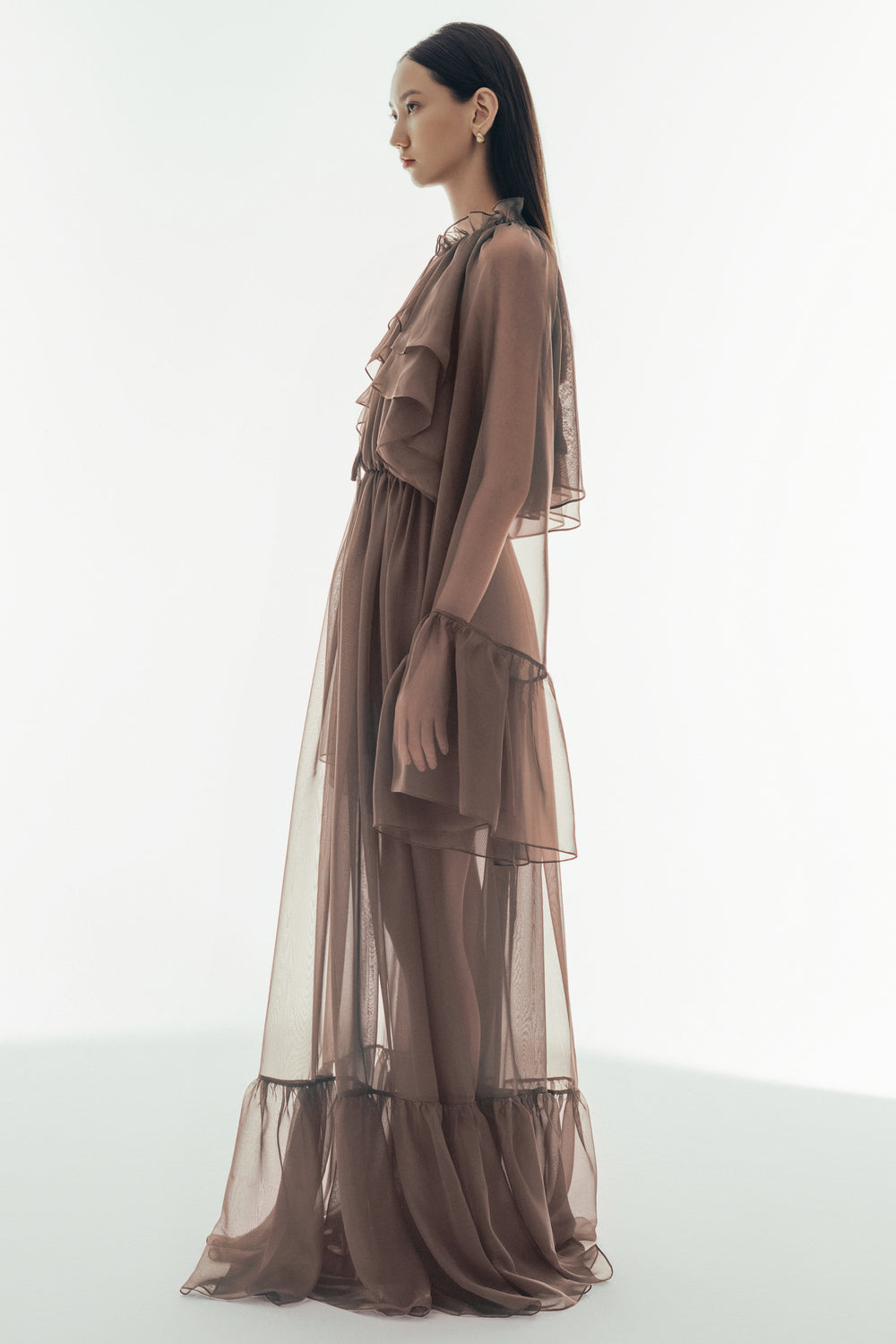 Cecelia Blouson Sheer Chiffon Maxi Dress