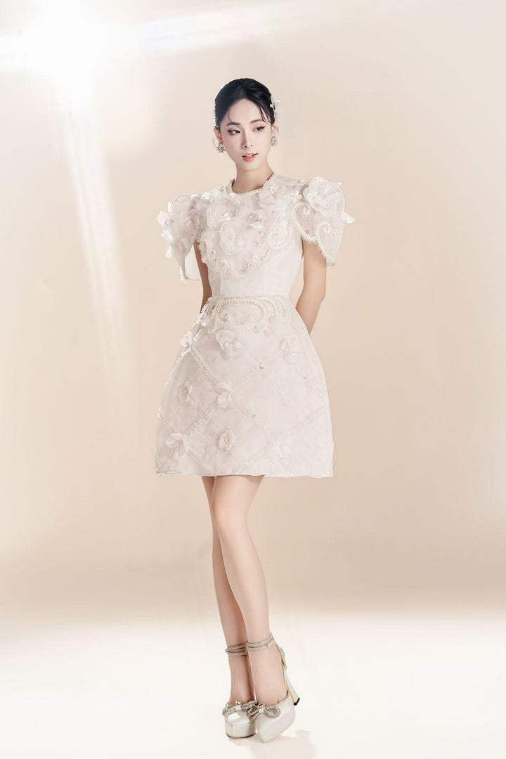 Juene A-line Round Neck Organza Mini Dress - MEAN BLVD