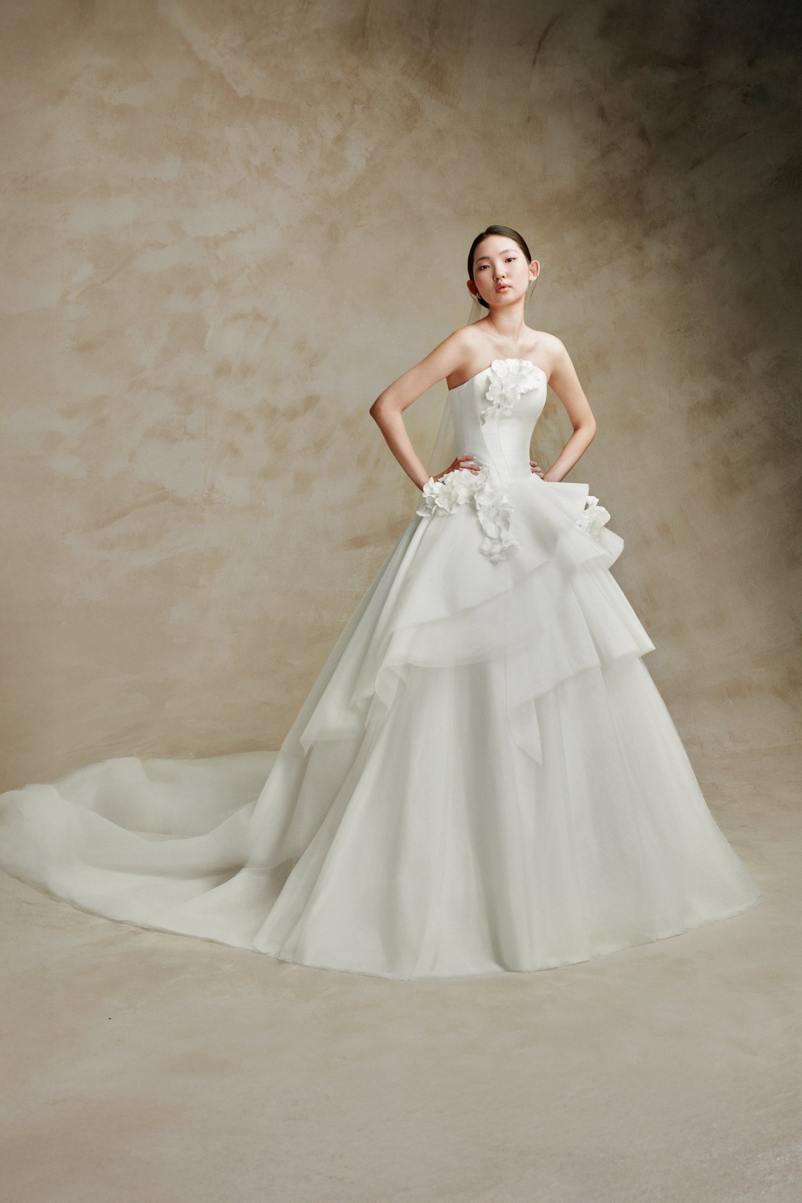 Lan Ball Gown Maxi Dress