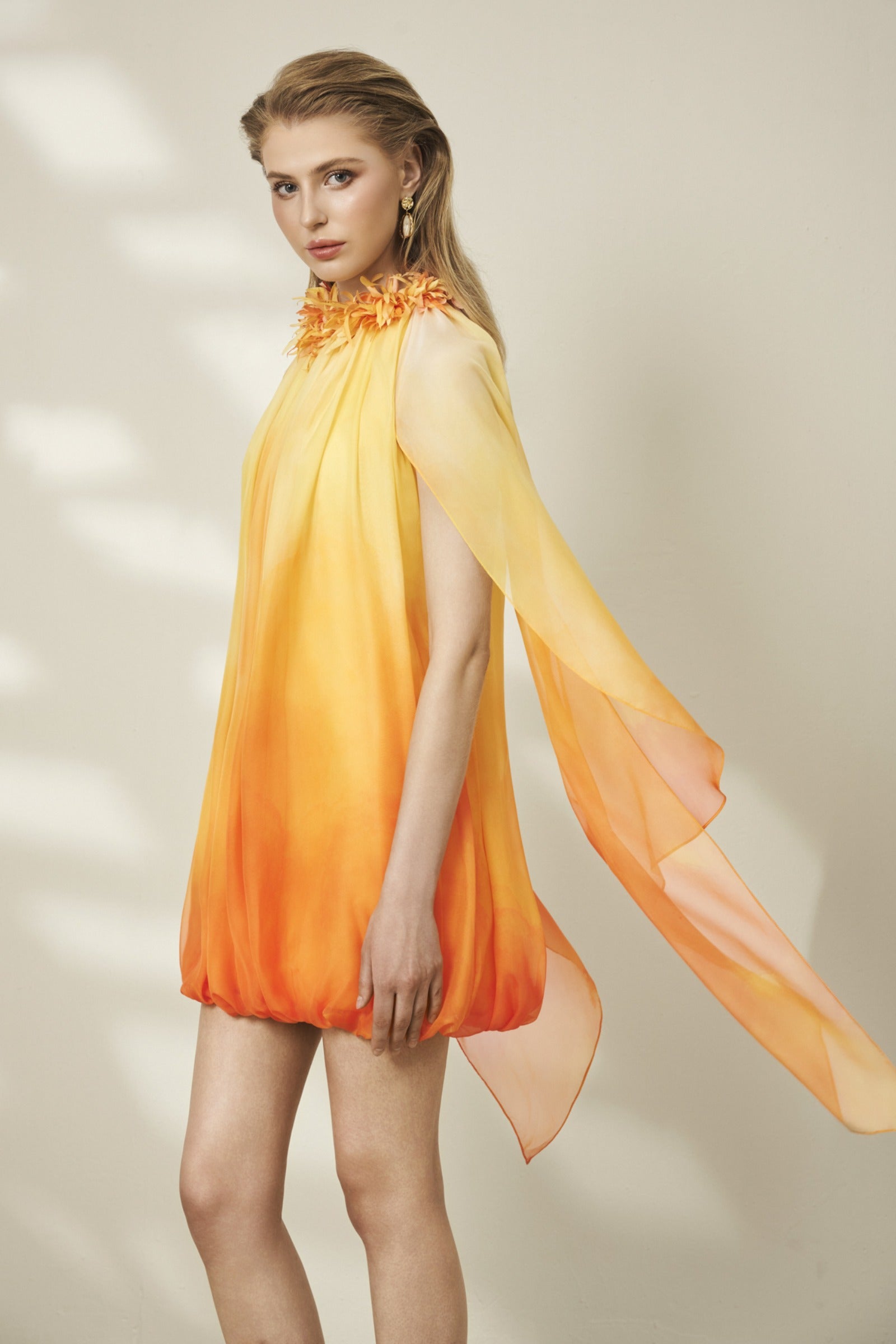 Solar Applique Mini Dress
