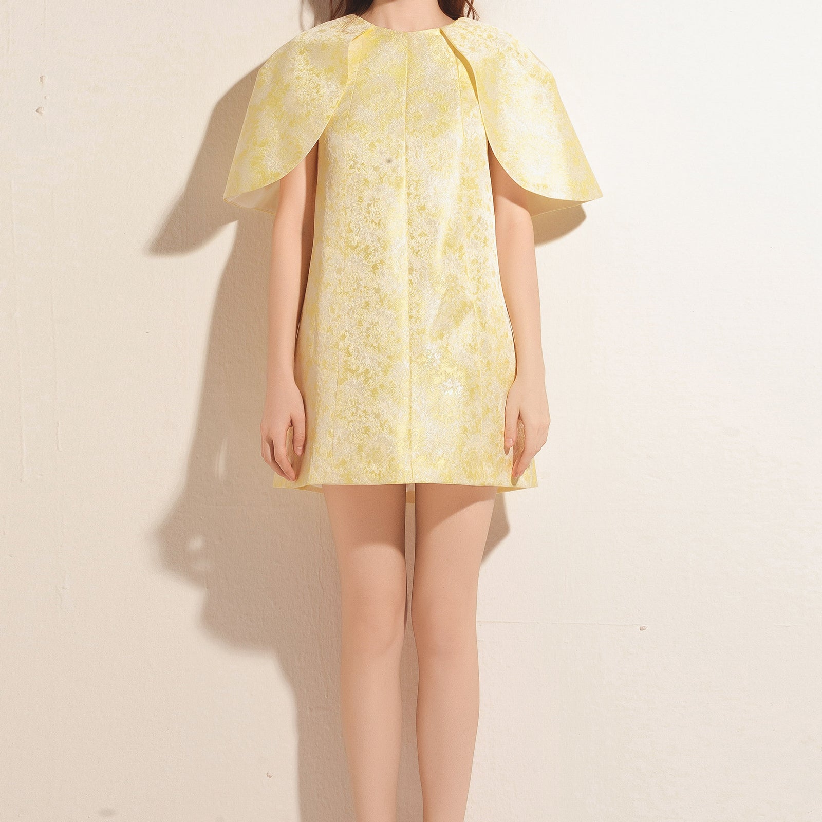 Malvaine Cape Sleeve Mini Dress - MEAN BLVD