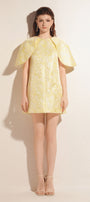 Malvaine Cape Sleeve Mini Dress - MEAN BLVD