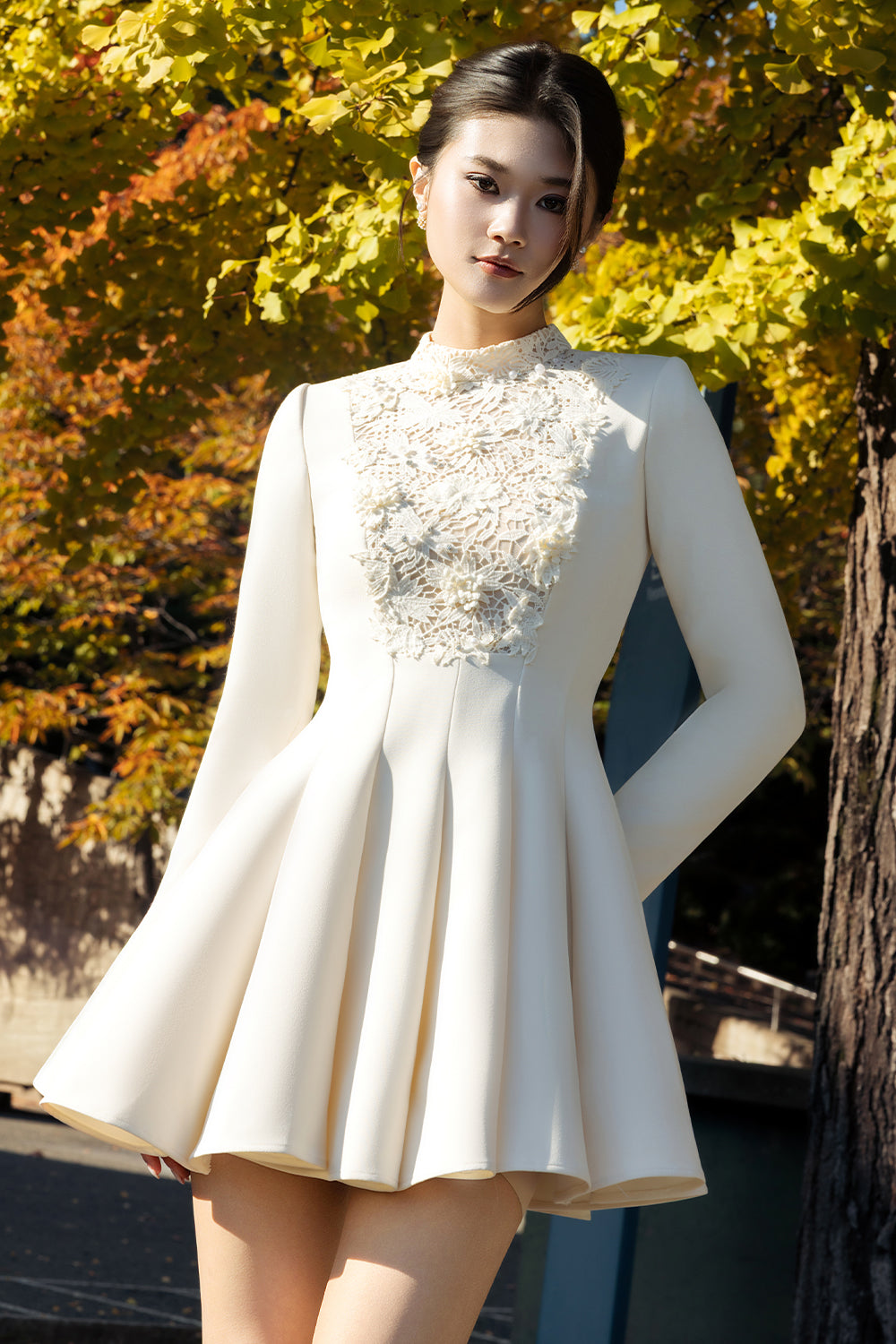 Nivora High Neck Applique Mini Dress - MEAN BLVD