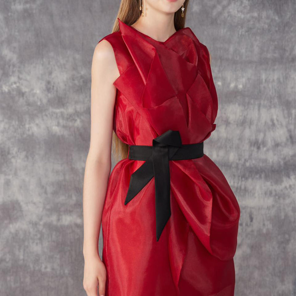 Omni A-line Jewel Neck Organza Mini Dress