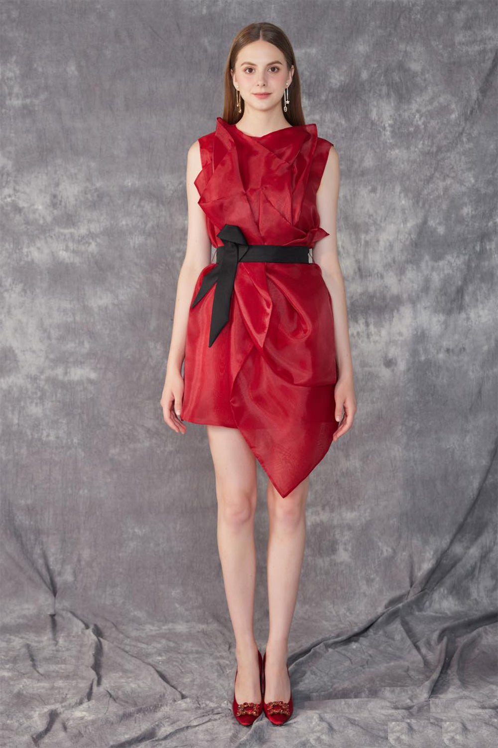 Omni A-line Jewel Neck Organza Mini Dress