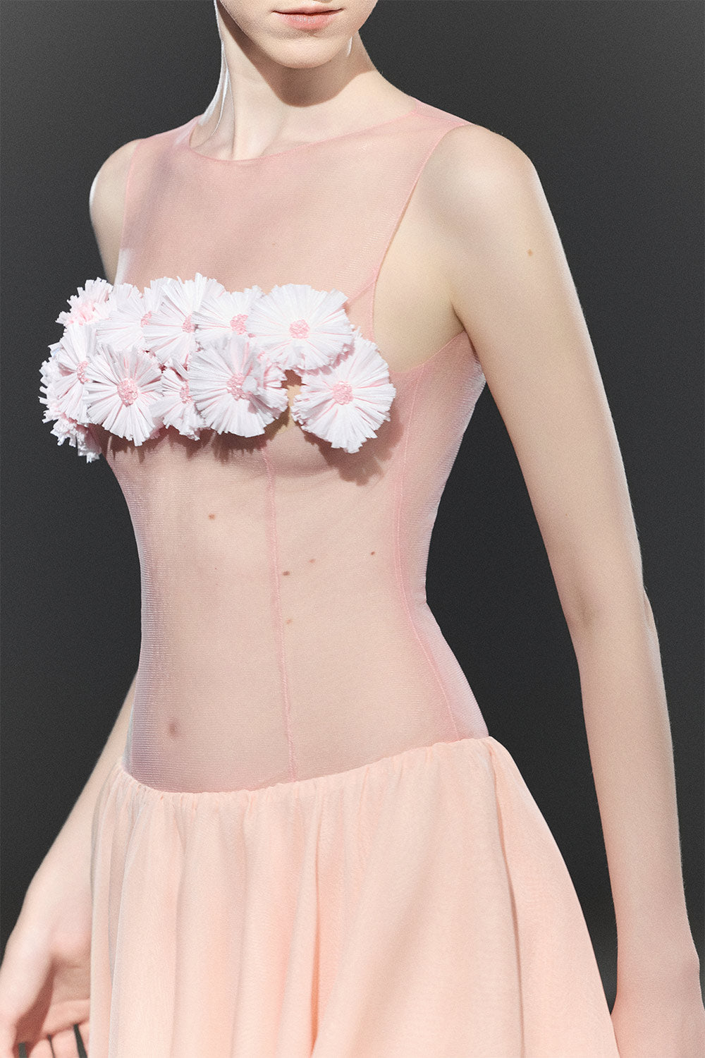 Poppy A-line See-Through Chiffon Mini Dress