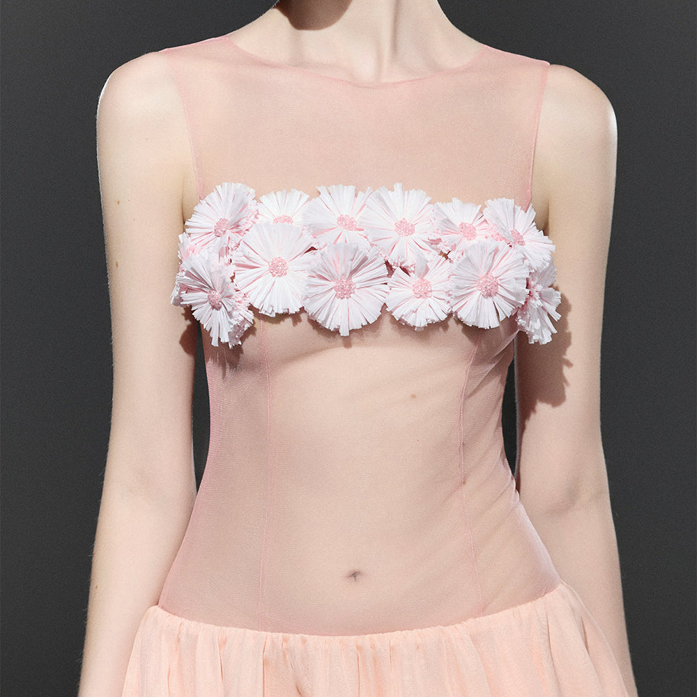 Poppy A-line See-Through Chiffon Mini Dress