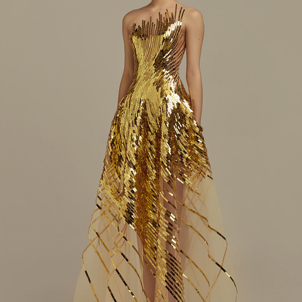 Lustre A-Line Illusion Neck Mesh Floor Length Dress