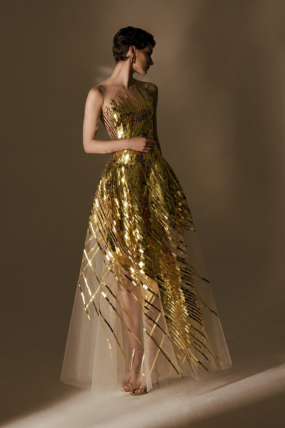 Lustre A-Line Illusion Neck Mesh Floor Length Dress