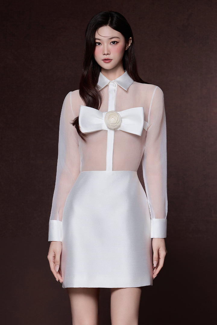 Paris Collared Taffeta Mini Dress - MEAN BLVD