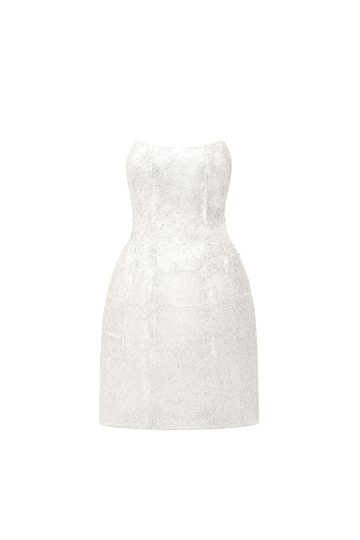 Penelope Straight Across Neck Lace Mini Dress - MEAN BLVD