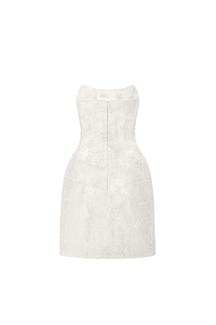 Penelope Straight Across Neck Lace Mini Dress - MEAN BLVD