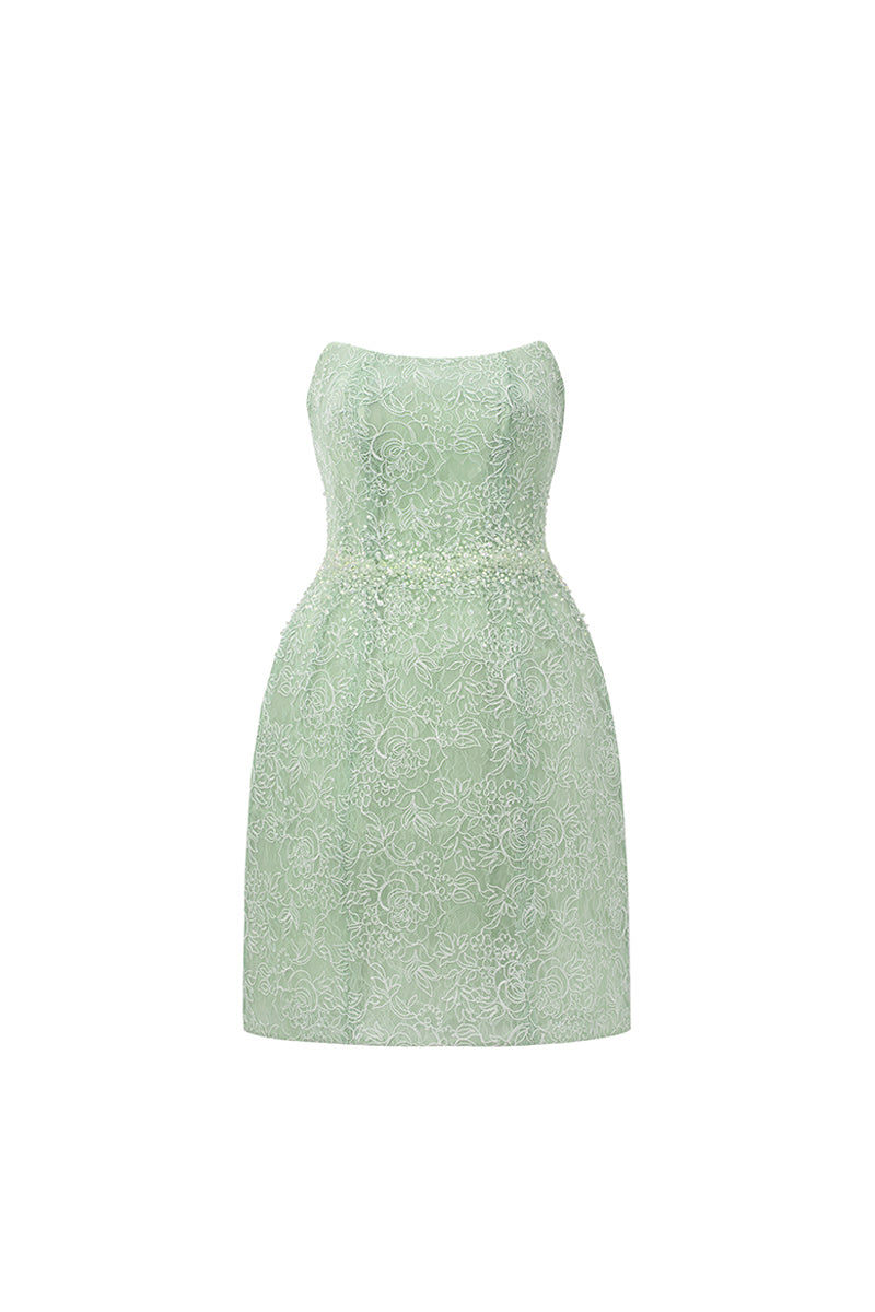 Penelope Straight Across Neck Lace Mini Dress - MEAN BLVD