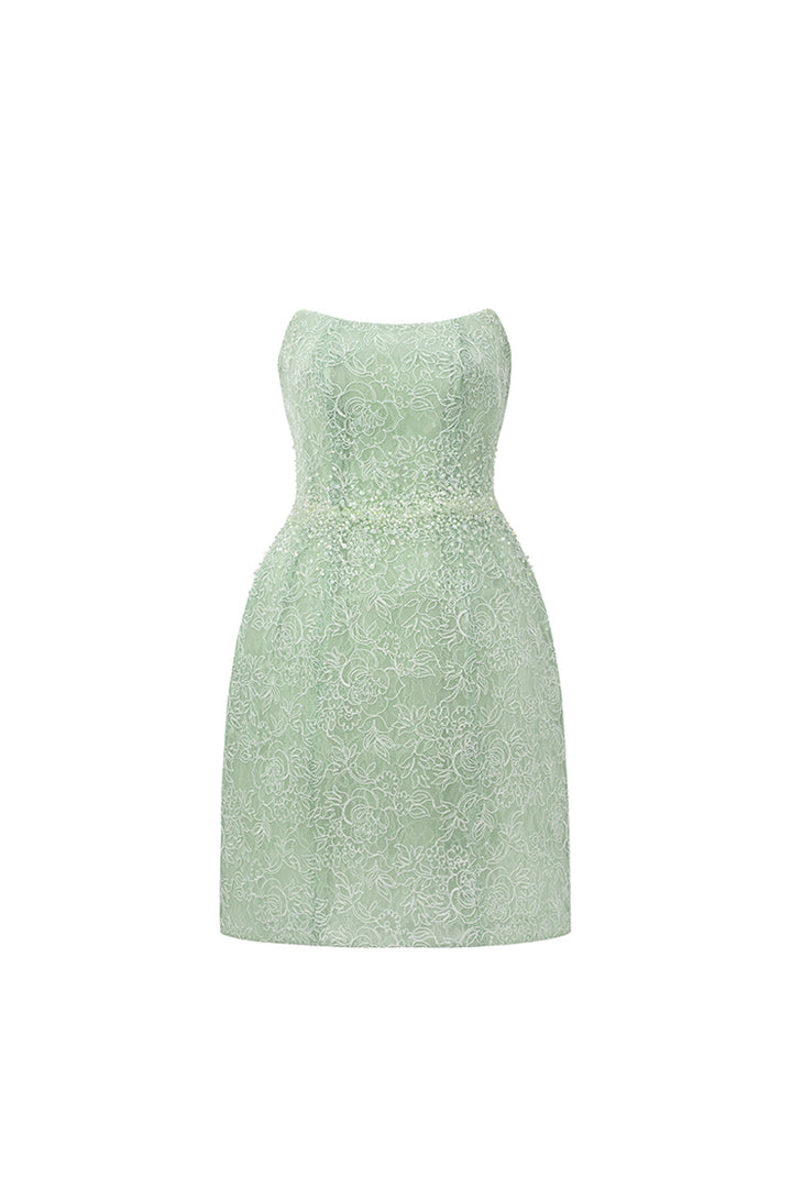 Penelope Straight Across Neck Lace Mini Dress - MEAN BLVD