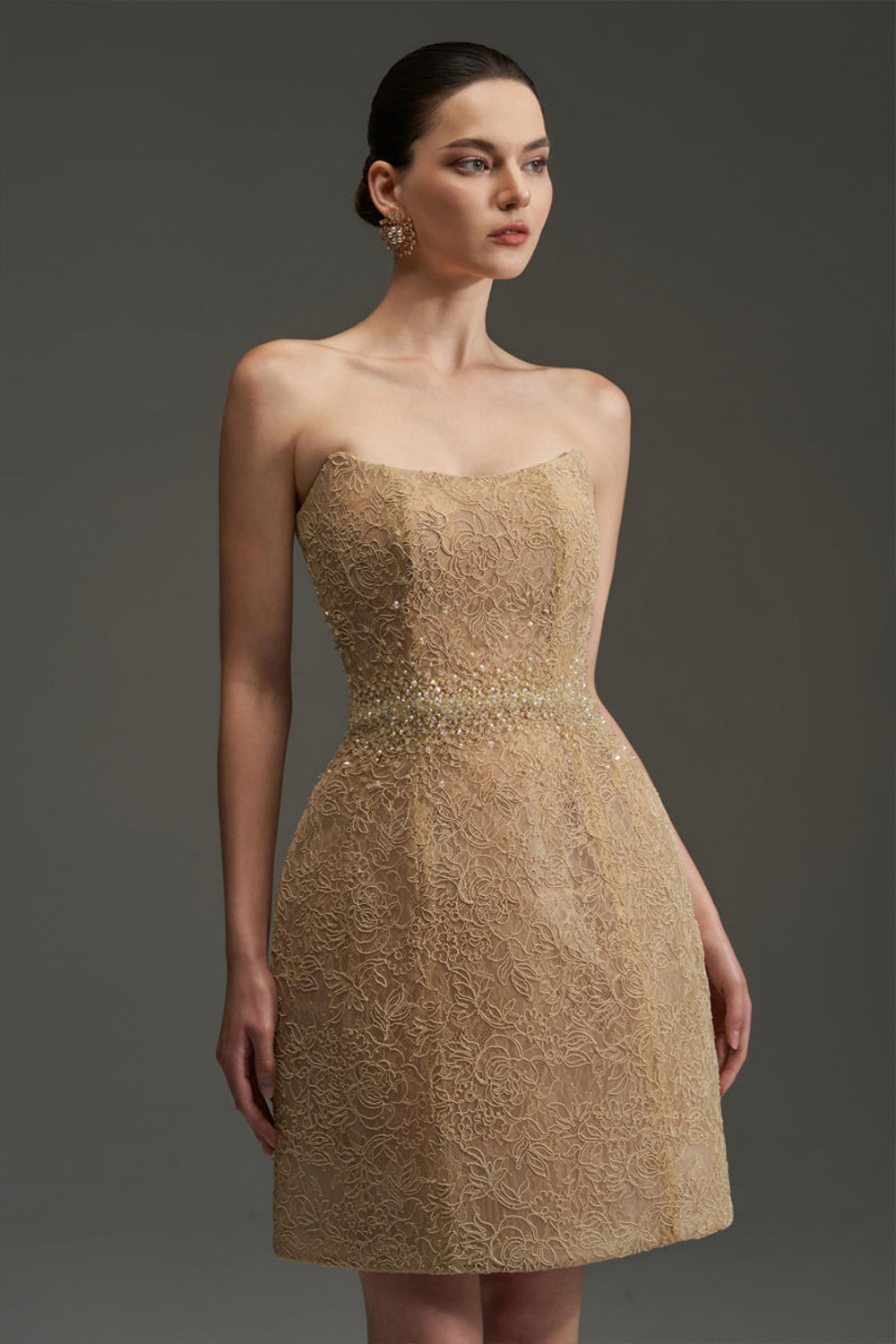 Penelope Straight Across Neck Lace Mini Dress - MEAN BLVD