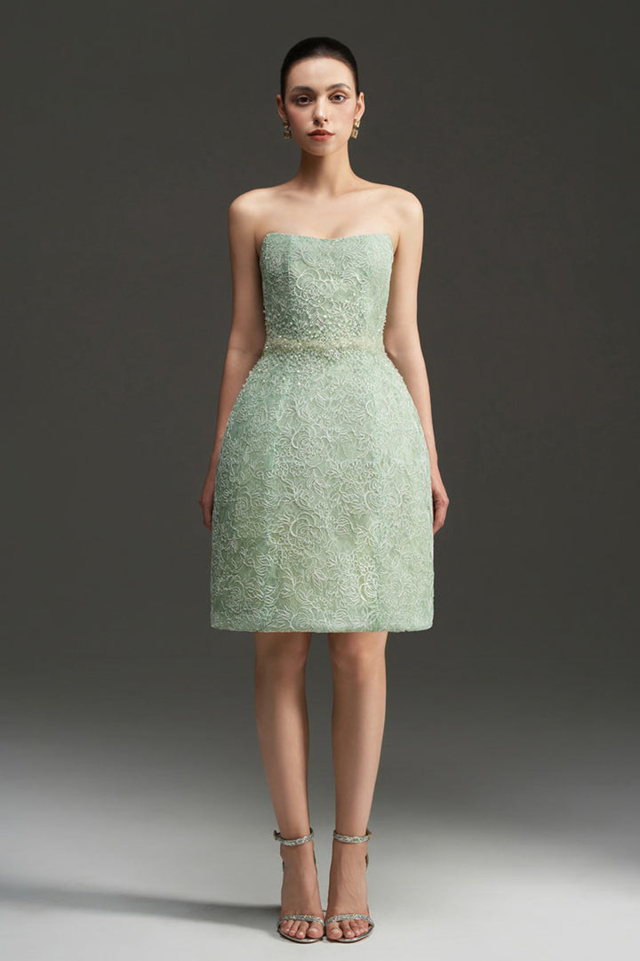 Penelope Straight Across Neck Lace Mini Dress - MEAN BLVD