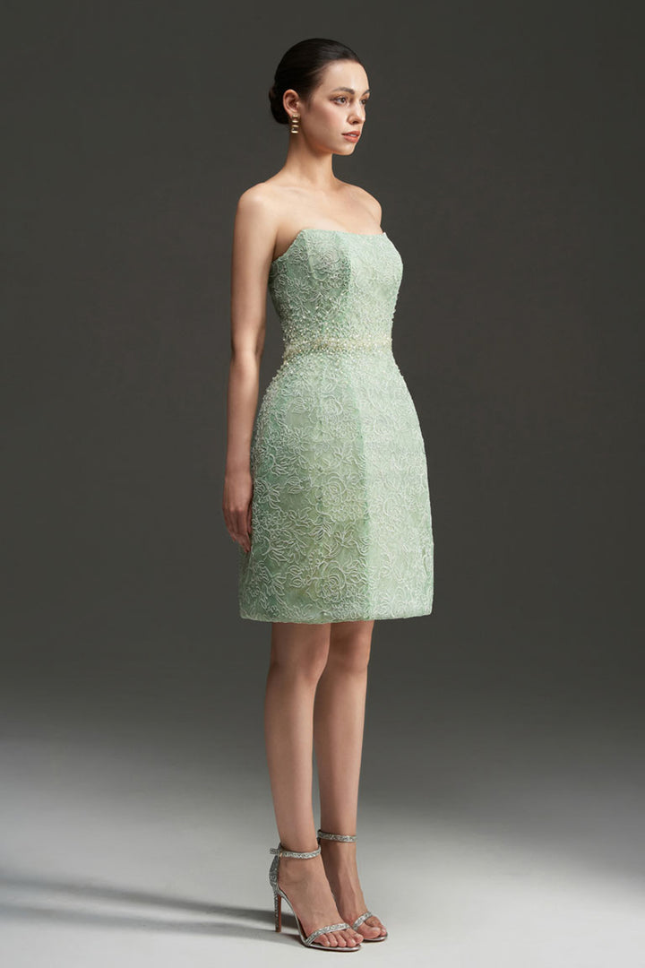 Penelope Straight Across Neck Lace Mini Dress - MEAN BLVD