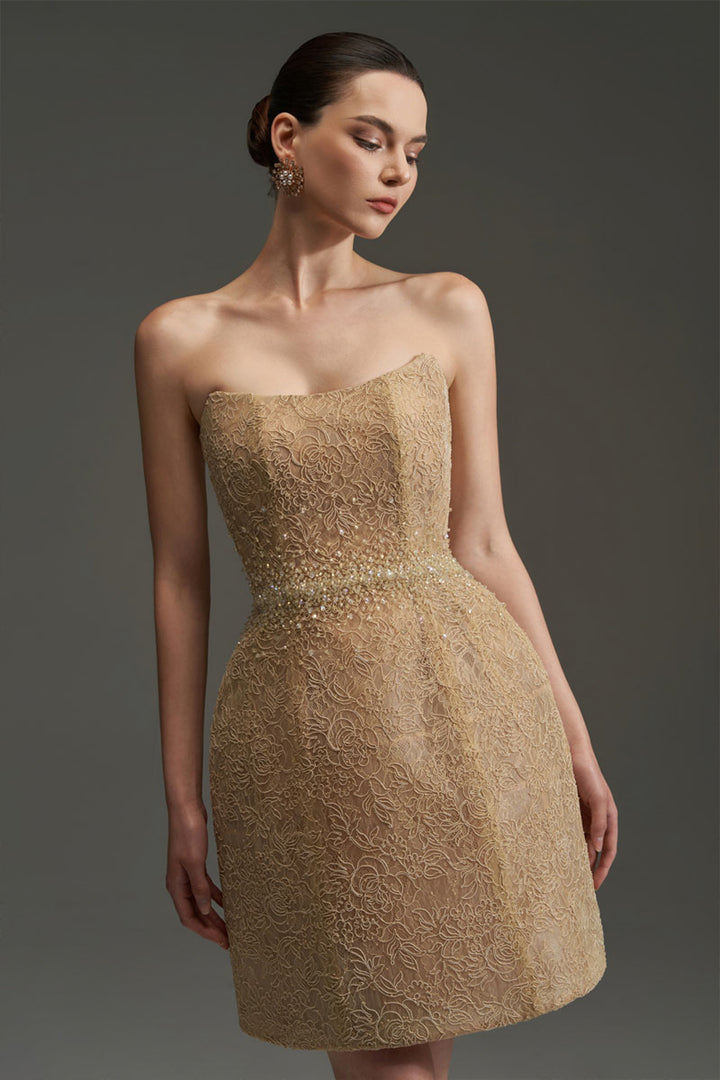 Penelope Straight Across Neck Lace Mini Dress - MEAN BLVD