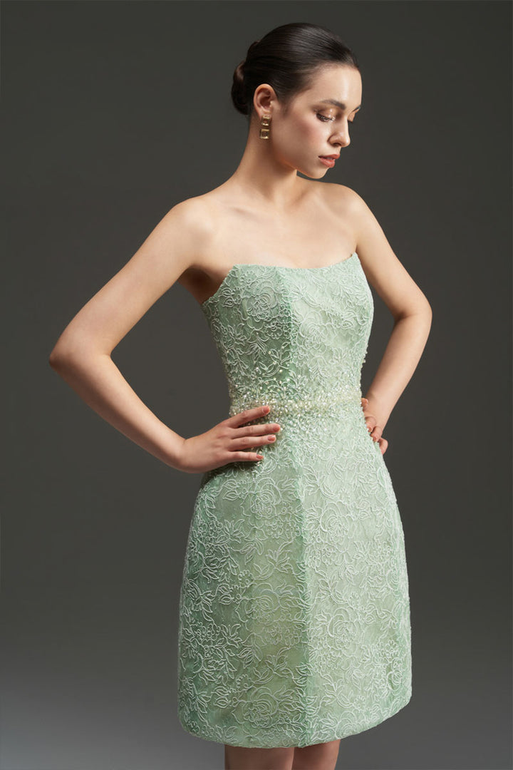 Penelope Straight Across Neck Lace Mini Dress - MEAN BLVD