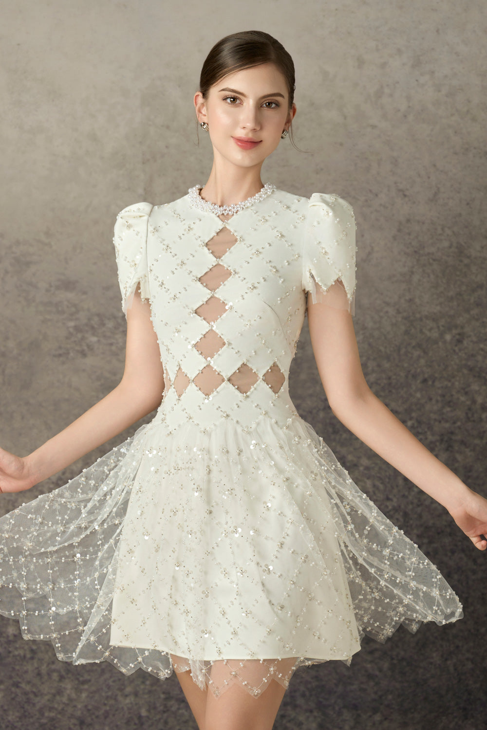 Caelis A-line Puffy Sleeved Mesh Lace Mini Dress