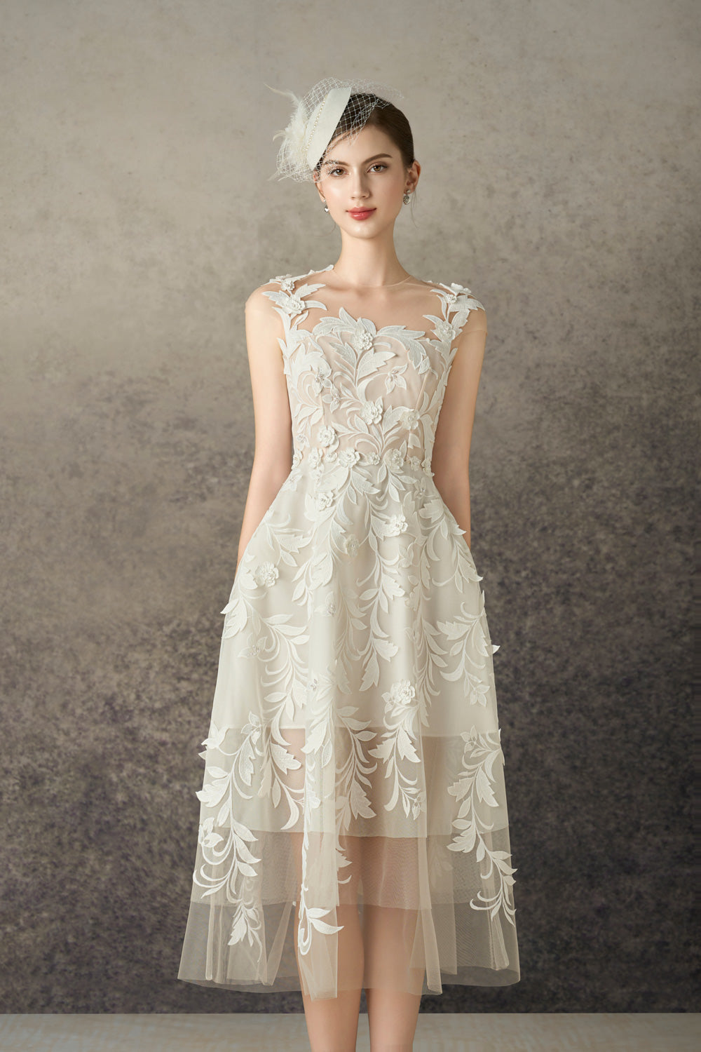 Thessia A-line Illusion Neck Mesh Lace Midi Dress