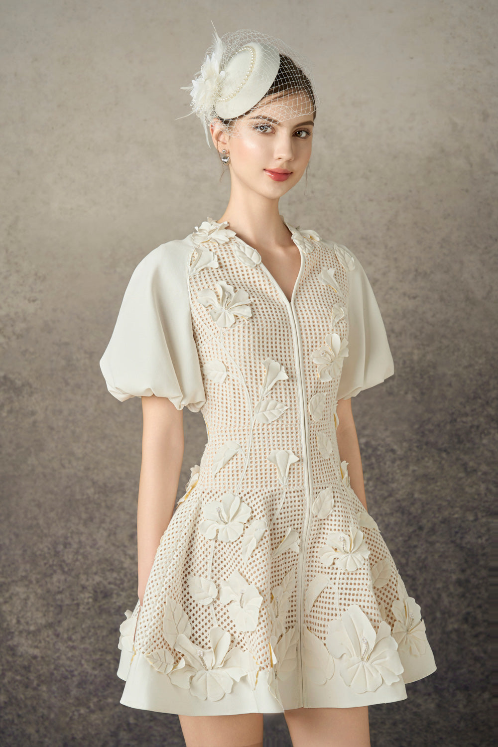Caedia A-line Puffy Sleeved Mesh Lace Mini Dress