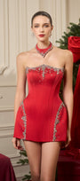 Royalty Choker Neck Detail Strapless Mini Dress 5