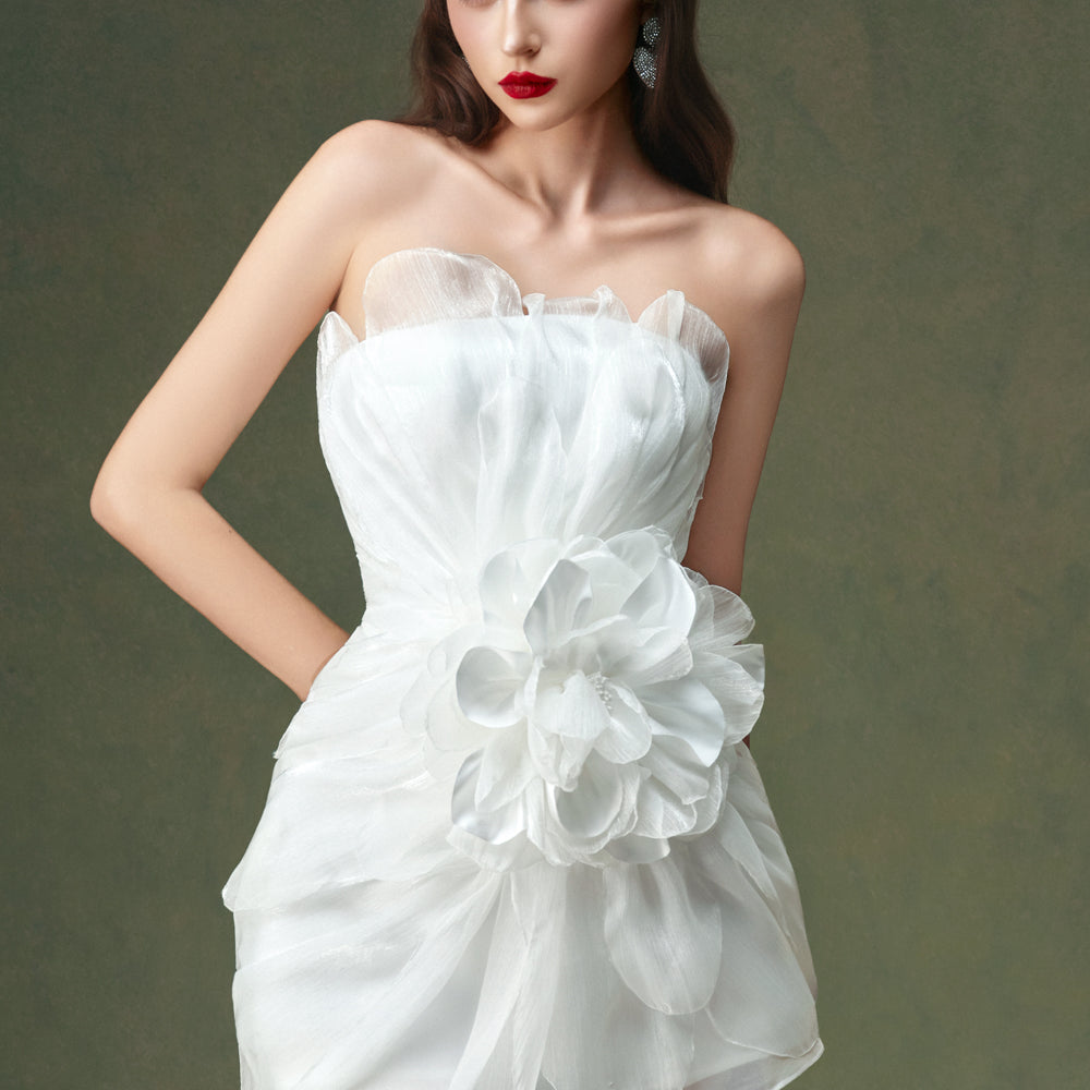 Rina Babydoll Applique Mini Dress - MEAN BLVD