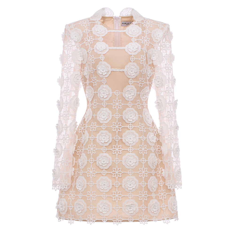 Feminine Applique Mini Dress