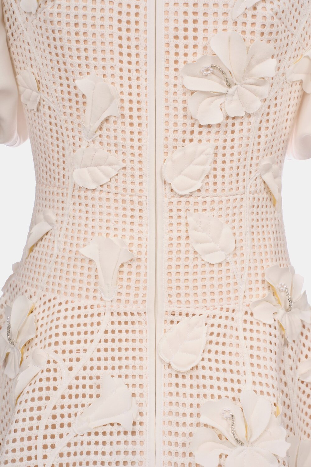 Caedia A-line Puffy Sleeved Mesh Lace Mini Dress