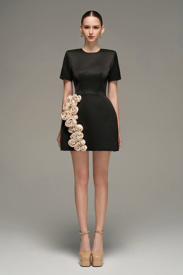 Rylan A-line Applique Mini Dress - MEAN BLVD