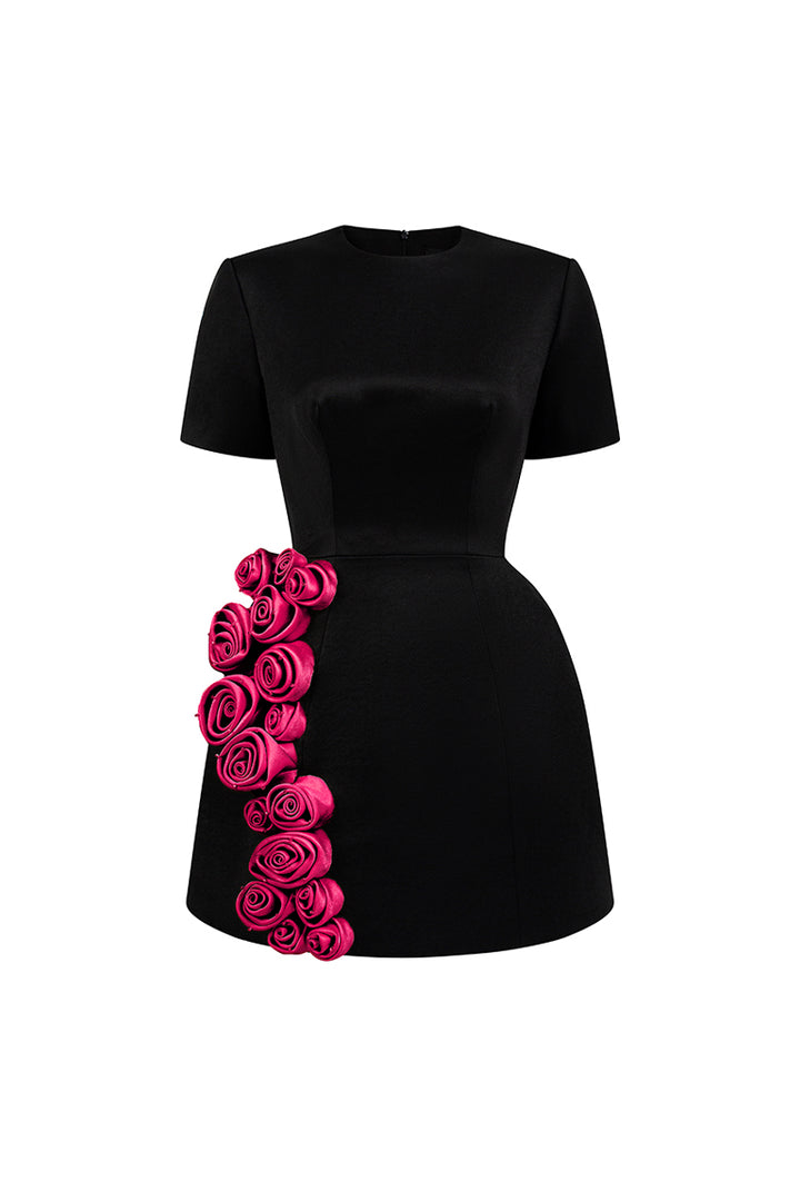 Rylan A-line Applique Mini Dress - MEAN BLVD