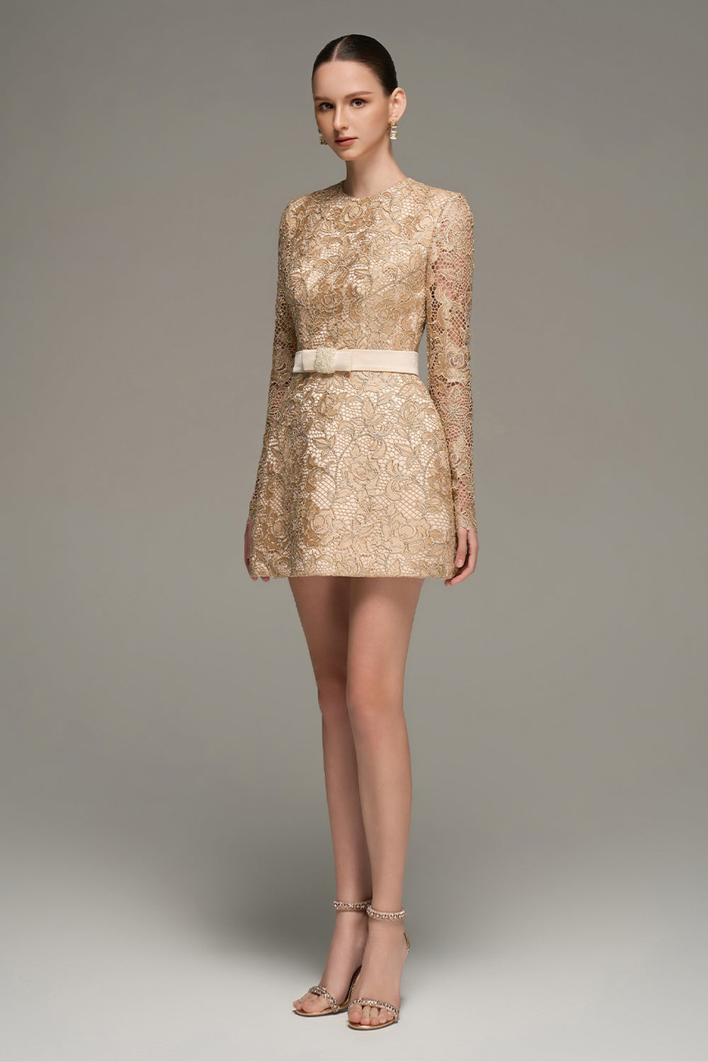 Alaina Long Sleeve Lace Mini Dress