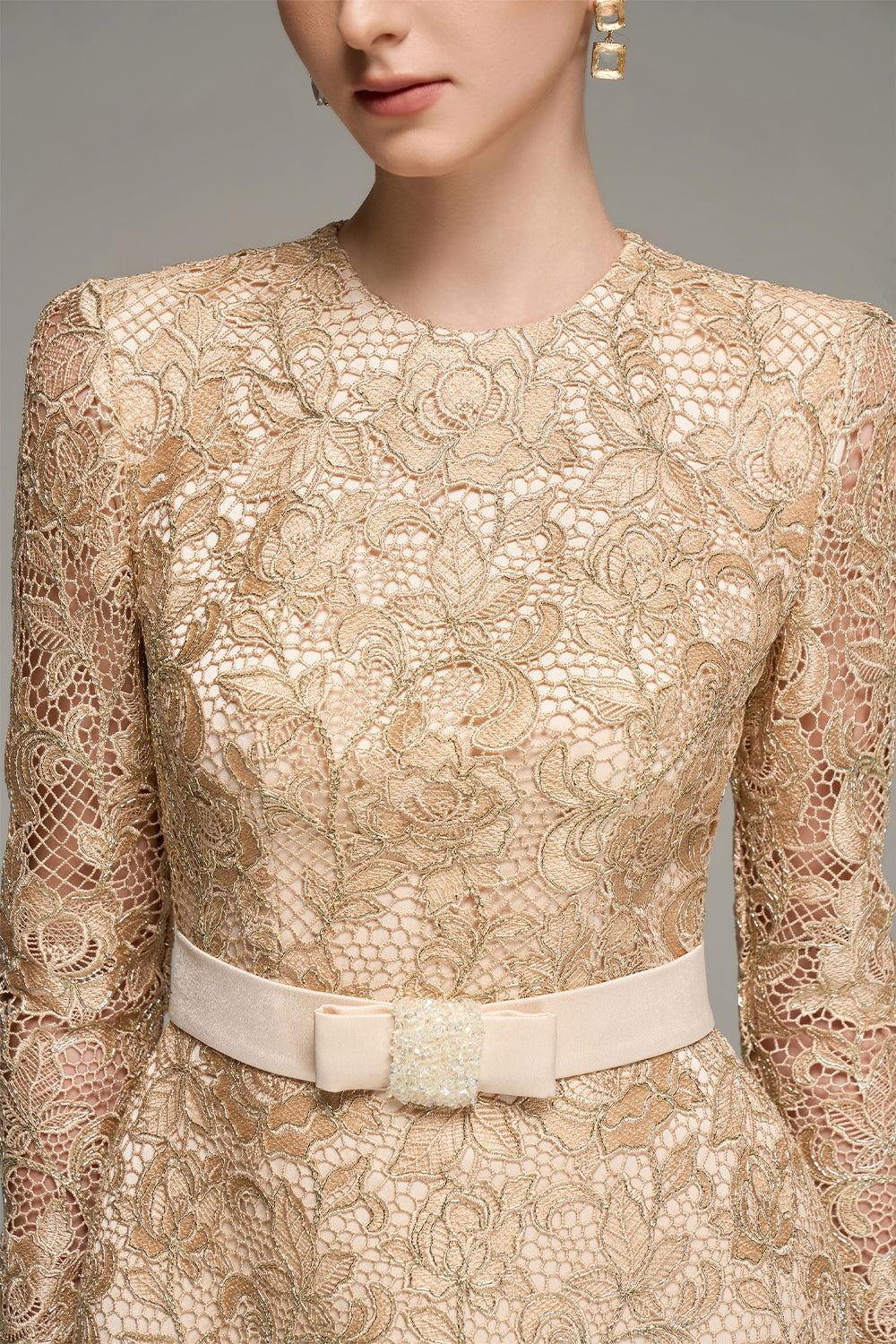 Alaina Long Sleeve Lace Mini Dress