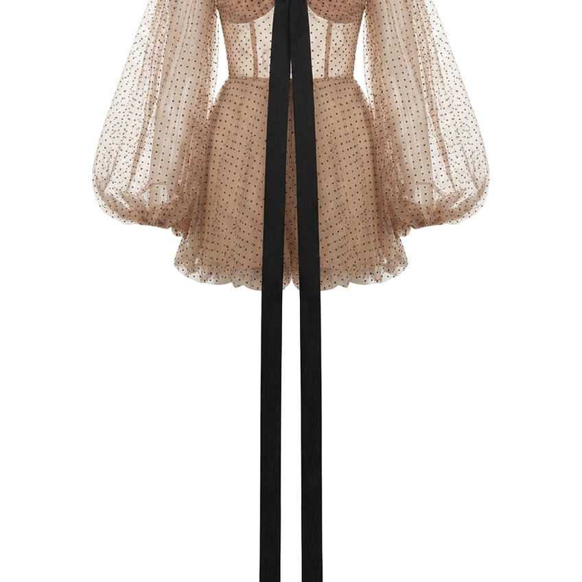 Melissa A-line Bouffant Sleeved Mesh Mini Dress