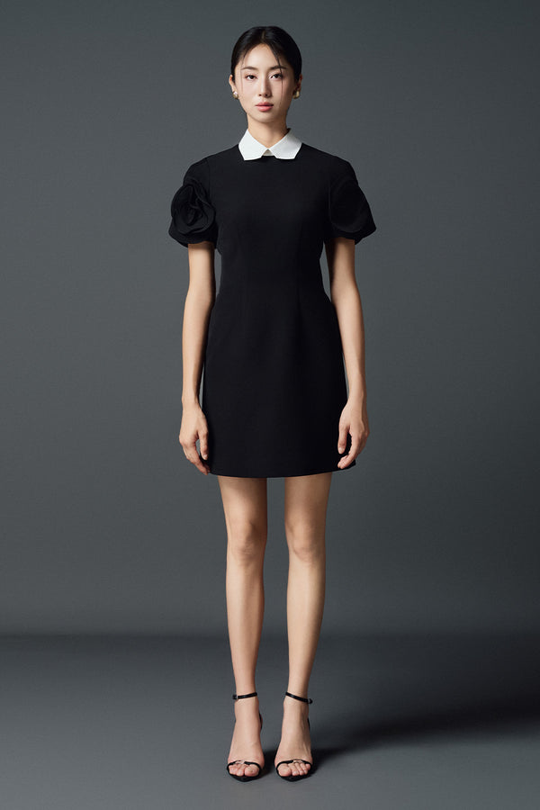 Delphine A-line Collared Neck Twill Mini Dress