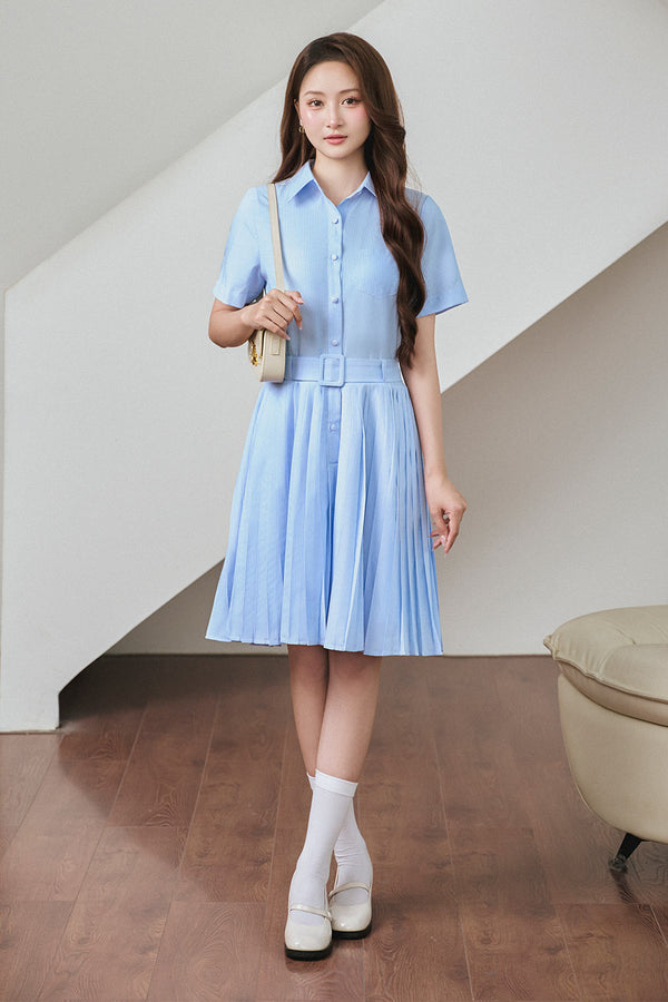 Marylin A-line Pleated Cotton Knee-length Dress