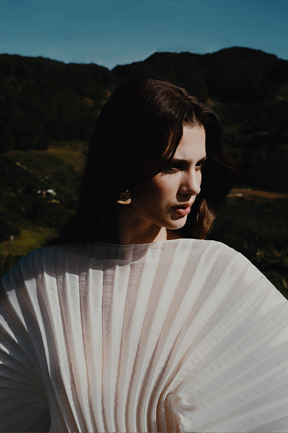 Phu Van Trapezoid Pleated Silk Organza Maxi Top