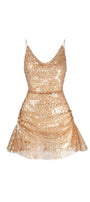 Aitana A-line Scoop Neck Mesh Sequin Mini Dress - MEAN BLVD