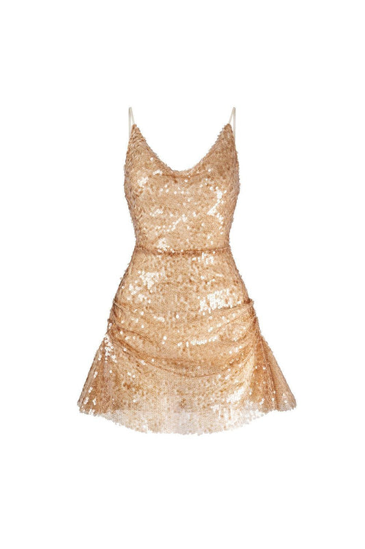 Aitana A-line Scoop Neck Mesh Sequin Mini Dress - MEAN BLVD